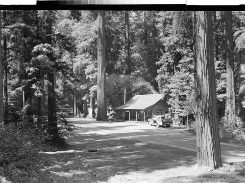 Devoy Redwood Grove, Calif