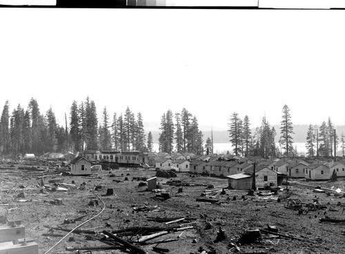 Logging Camp