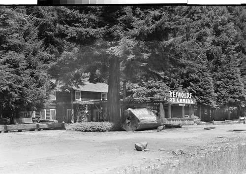 Reynold's Resort on the Redwood Highway, Calif