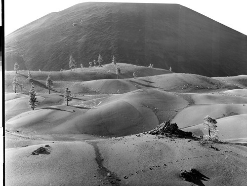 Ash Dunes + Cinder Cone