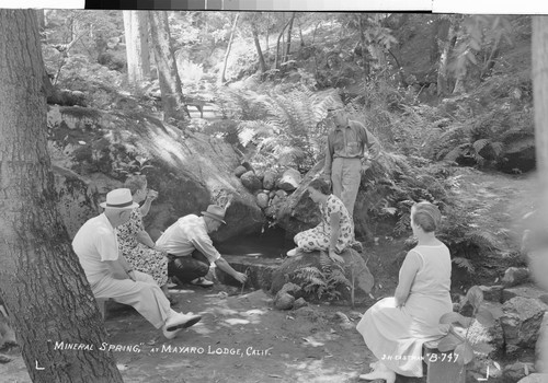 "Mineral Spring," At Mayaro Lodge, Calif