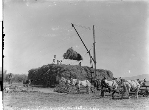 Modoc Land and Livestock - Co - Likely - Cal