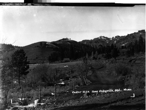 Cedare Mts. Near Cedarville, Cal