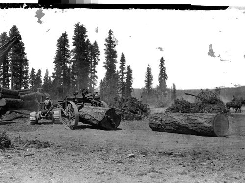 Logging Scene Westwood, Calif