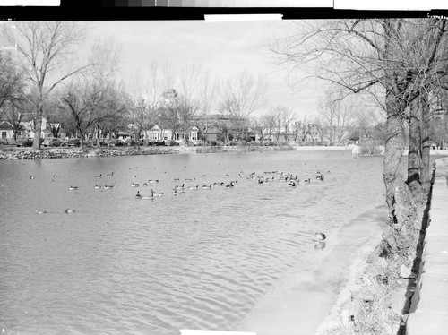 On the Truckee River at Reno, Nevada