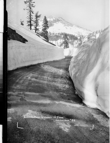 "Lassen Park Highway in June"