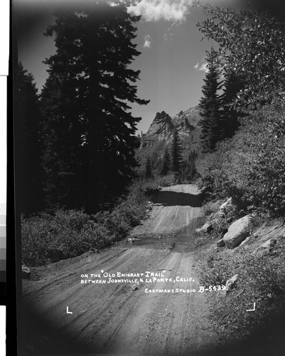 On the "Old Emigrant Trail" between Johnsville & La Porte, Calif