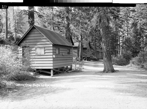 Cabins, Gray Eagle Lodge, California