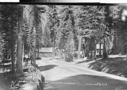 "At Buck's Lake Lodge," Buck's Lake, Calif