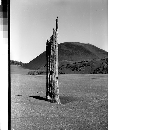 Cinder Cone