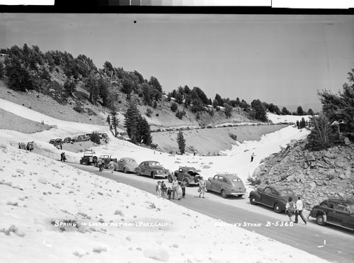 "Spring" in Lassen National Park, Calif