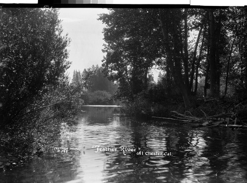 "Feather River" at Chester, Cal