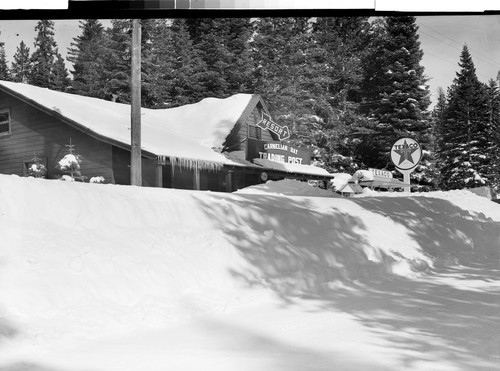 At Lake Tahoe