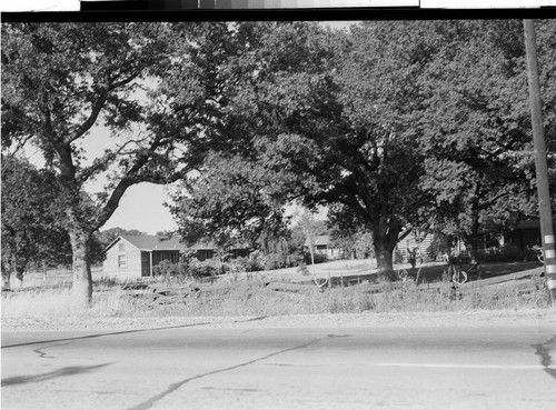 The Oak Grove Motel, Los Molinos, Calif