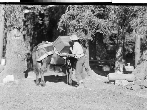 Loading up in Marble Mt. Privitive Area, Calif