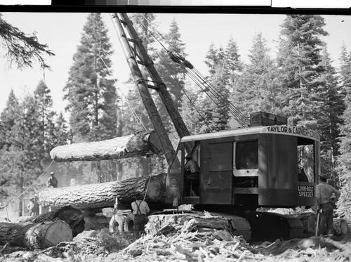 Taylor & Carver Logging