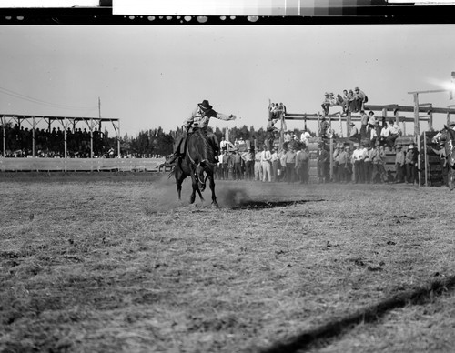 Modoc County Rodeo