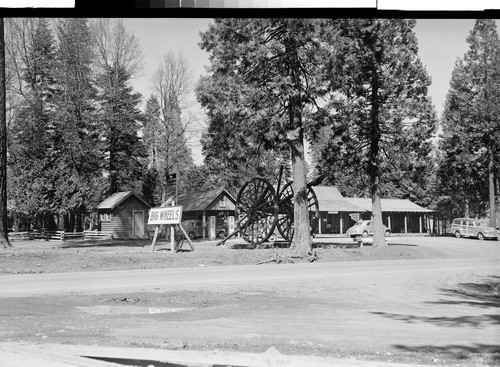 At the Big Wheels, Shingletown, Calif