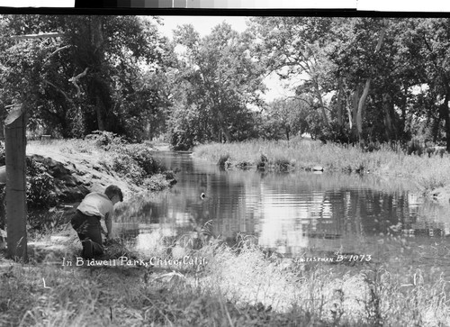 In Bidwell Park, Chico, Calif