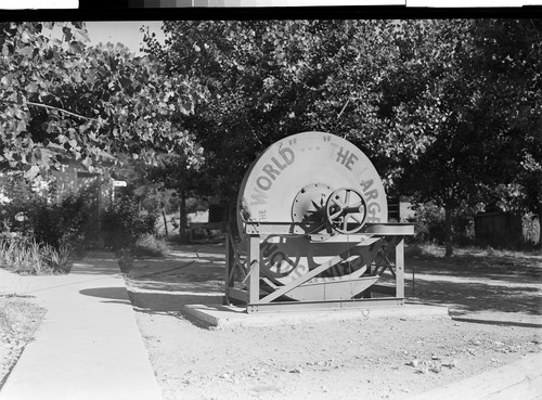 At the Buffalo Ranch near Redding, Calif