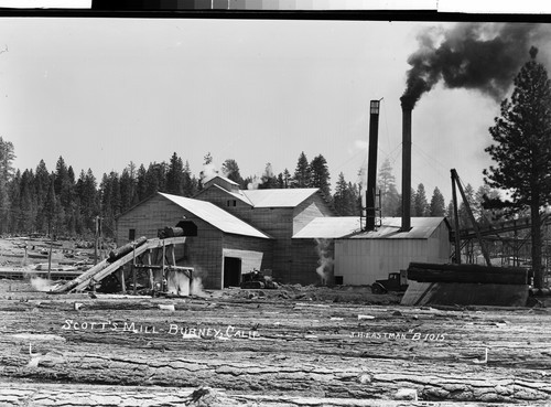 Scott's Mill - Burney, Calif