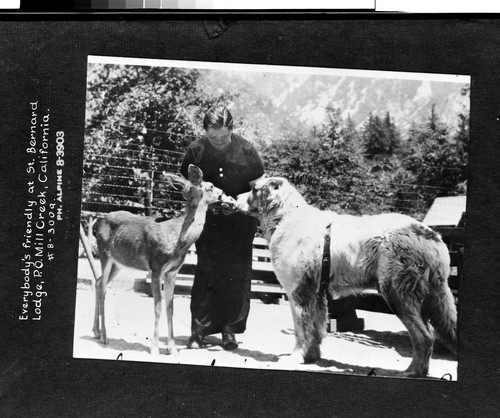 Everybody's friendly at St. Bernard Lodge, P.O. Mill Creek, California