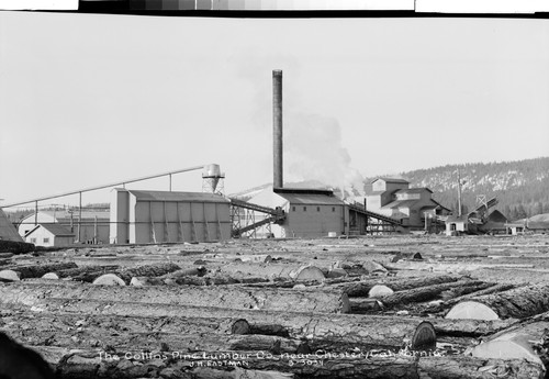 The Collins Pine Lumber Co. near Chester, California