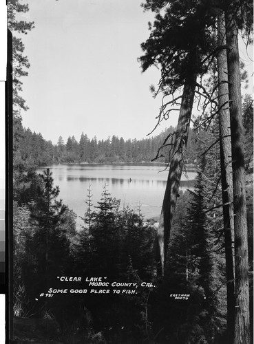 "Clear Lake" Modoc County, Cal. Some Good Place to Fish