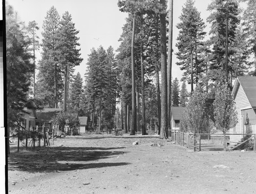 McCloud Logging Camp