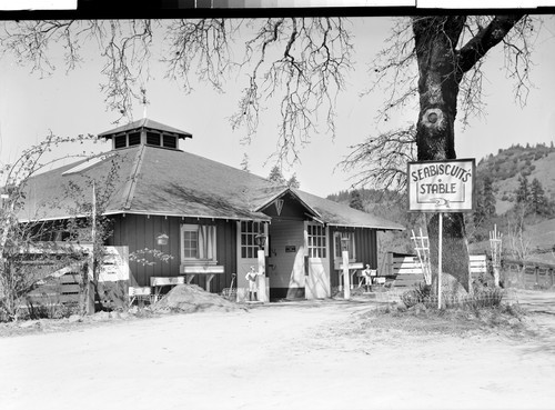 At Ridgewood Ranch Along The Redwood Highway, Calif