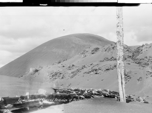 Cinder Cone and Charred Remains of Forest