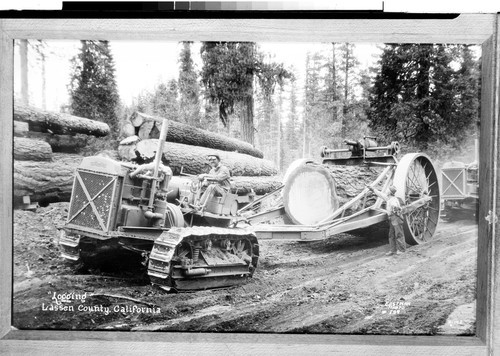 "Logging," Lassen County, California