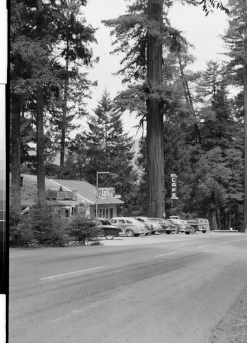 Along the Redwood Highway, Calif