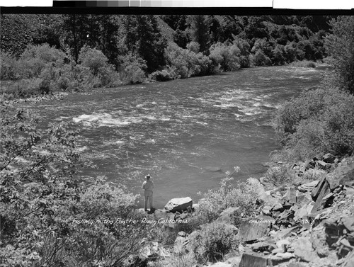 Fishing in the Feather River, California