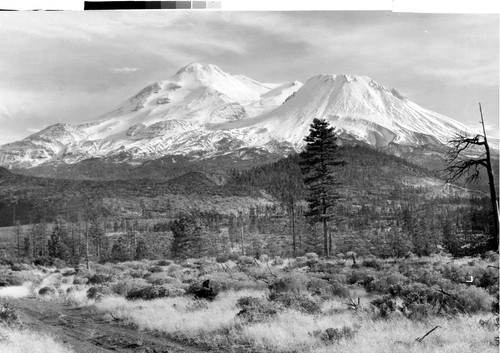 Mt. Shasta