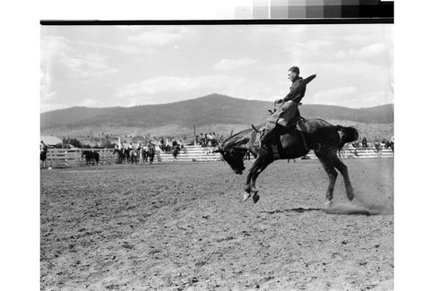 Rodeo Action Shots