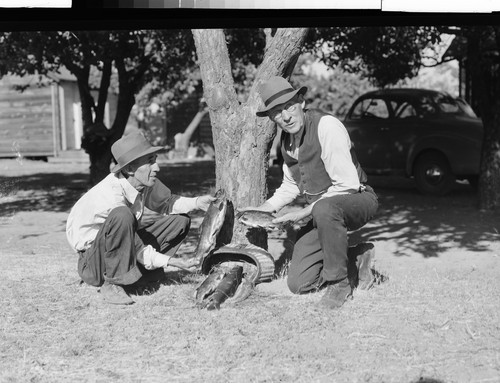 Caught by A. D. Allen near Chester, Cal