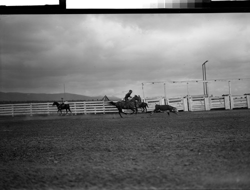 Roping pictures