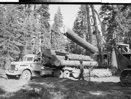 Taylor & Carver Logging