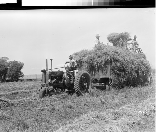 Tehama County