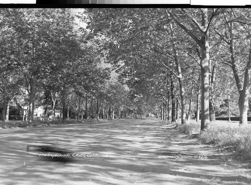 The Esplanade, Chico, California