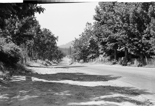 At Montgomery Creek, California