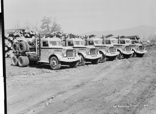 Paul Bunyan Logging Trucks