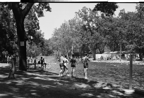 In Bidwell Park, Chico, Calif