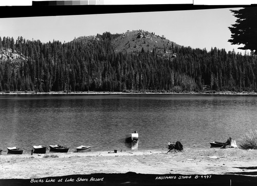 Bucks Lake at Lake Shore Resort