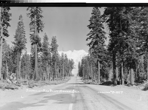 Susanville-Red Bluff Highway, Calif