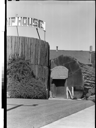 The Stump House, Eureka, Calif