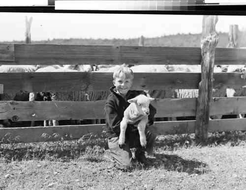 Boy with Lamb