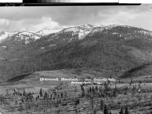 Diamond Mountain. Near Susanville, Calif