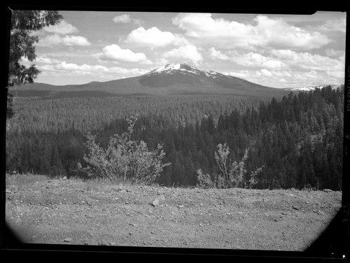 Burney Mountain, Calif